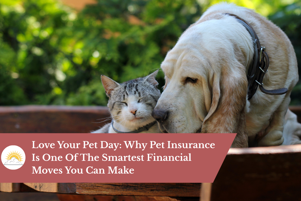 Love Your Pet Day: Why Pet Insurance Is One Of The Smartest Financial Moves You Can Make